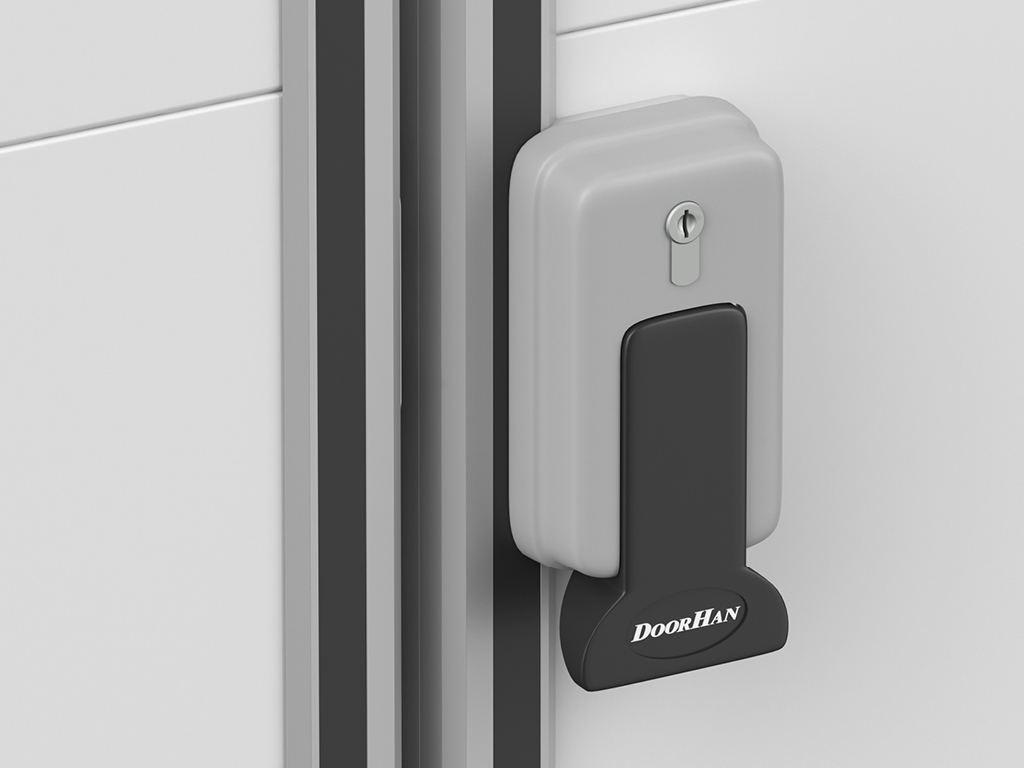 1527Дверь распашная DoorHan